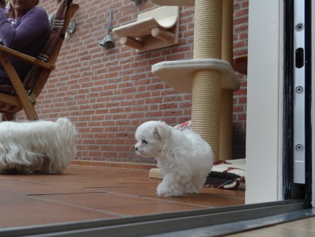 kennis maken met mijn nieuwe broertjes en zusje